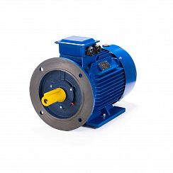Электродвигатель ESQ 160 M4-SDN- 11/1500 IMB35