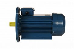 Эл.двигатель 5АИ 90 L2 Ж У2 3/3000 IM 2081