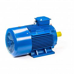 Электродвигатель 5АИ 200 L6 30/1000 IM1001