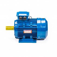 Электродвигатель 5АИ 132 М6 7,6/1000 IM1081