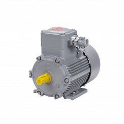 Электродвигатель АИМУ 100 S4 У1, 380В, 1ExdIIBT4 Gb, 3/1500 IM1081