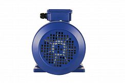 Электродвигатель 5АИ 100 L4 ED 4/1500 IM1081
