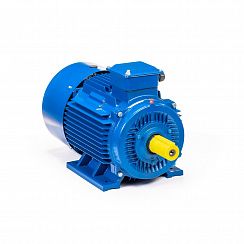 Электродвигатель 5АИ 200 L6 30/1000 IM1001
