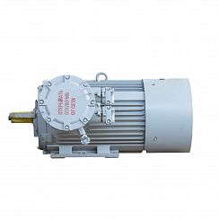 Электродвигатель 2АИМУР 280 S2 У1, 380/660В, класс изоляции F, 1ExdIIBT4 Gb, РТС (статор), подшипники SKF, 132/3000 IM1001