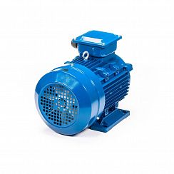 Электродвигатель 5АИ 160 S6 11/1000 IM1001