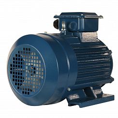 Электродвигатель 5АИ 100 L6 ED 2,2/1000 IM1081