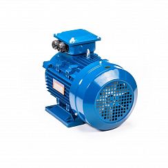 Электродвигатель 5АИ 112 МА6 3/1000 IM1081