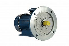 Эл.двигатель 5АИ 90 L2 Ж У2 3/3000 IM 2081