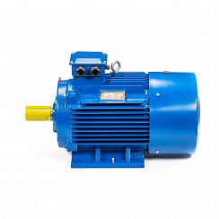 Электродвигатель 5АИ 200 L6 30/1000 IM1001