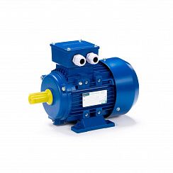 Электродвигатель ESQ 90 LA2-SDN- 2,2/3000 IMB3