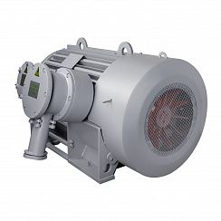 Электродвигатель ВАО7М 450 LB4 УХЛ1 PBExdI Mb 6000В IP54 400/1500 IM1001