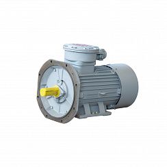 Электродвигатель АИМУР 280 М4 У2,5 660/1140В, класс изоляции Н, PBExdI Mb, РТС (статор), подшипники SKF 132/1500 IM9701