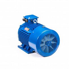 Электродвигатель 5АИ 200 L6 30/1000 IM1001
