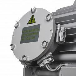 Электродвигатель ВАО7А 450 LB2 УХЛ1 PBExdI Mb 6000В IP54 400/3000 IM1001
