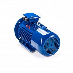 Электродвигатель 5АИ 100 L4 ED 4/1500 IM2081