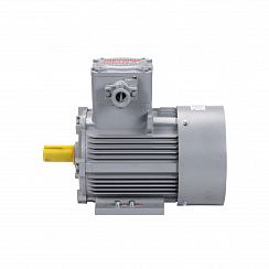 Электродвигатель АИМУ 100 S4 У1, 380В, 1ExdIIBT4 Gb, 3/1500 IM1081