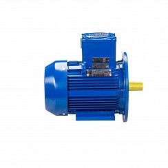 Электродвигатель АИМУ 132 М2 У1, 380/660В, 1ExdIIBT4 Gb, 11/3000 IM2081