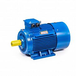 Электродвигатель 5АИ 200 L6 30/1000 IM1001