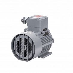 Электродвигатель АИМУ 100 S4 У1, 380В, 1ExdIIBT4 Gb, 3/1500 IM1081