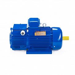 Электродвигатель 5MTH 400 М10 132/600 IM1003