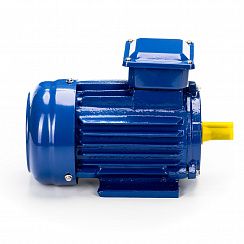 Электродвигатель 5АИ 71 В4 0,75/1500 IM1081