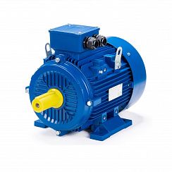 Эл.двигатель ESQ 100 S2-GST-HT-H 4/3000  IM 1081