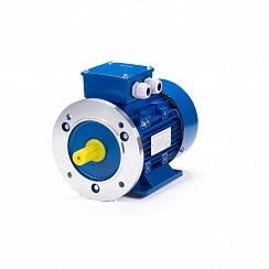 Электродвигатель ESQ 90 S4-SDN- 1,1/1500 IMB35