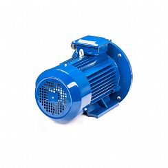 Электродвигатель 5АИ 100 L4 ET 4/1500 IM2081
