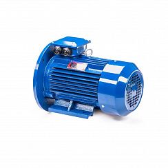 Электродвигатель 5АИ 100 L4 4/1500 IM2081