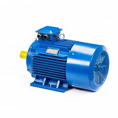 Электродвигатель 5АИ 200 L6 30/1000 IM1001