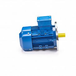 Электродвигатель 5АИ 63 А4 0,25/1500 IM3081