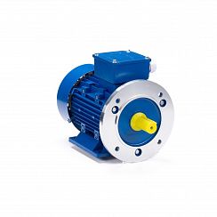 Электродвигатель ESQ 56 A4-SDN- 0,06/1500 IMB35