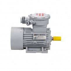 Электродвигатель АИМУР 200 L6 У2,5 380/660В, класс изоляции Н, PBExdI Mb, РТС (статор), подшипники SKF, 30/1000 IM1001