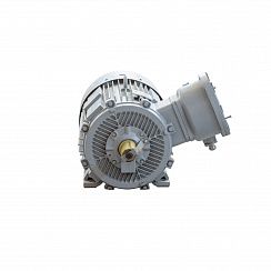 Электродвигатель 2АИМУР 280 L6 У1, 380/660В, класс изоляции F, 1ExdbIIBT4 Gb X, РТС (статор), подшипники SKF, 132/1000 IM1001