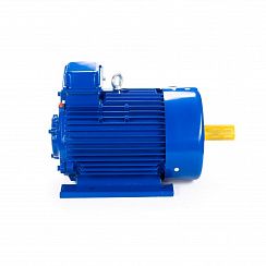 Электродвигатель 5МТКН 225 L6 55/1000 IM1003