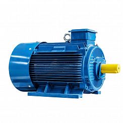 Электродвигатель 5АИ 315 S4 160/1500 IM1001