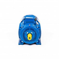 Электродвигатель 5АИ 200 L6 30/1000 IM1001