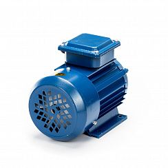 Электродвигатель 5АИ 63 А4 0,25/1500 IM1081
