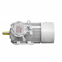 Электродвигатель 2АИМУР 315 М4 У2,5 660/1140В, класс изоляции Н, PBExdI Мb, РТC (статор), подшипники SKF, 250/1500 IM1001