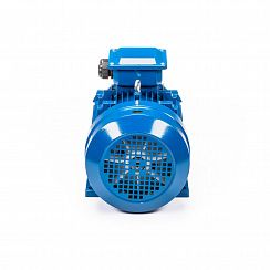 Электродвигатель 5АИ 112 МА6 3/1000 IM1081