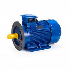 Электродвигатель ESQ 112 N4-SDN- 5,5/1500 IMB35