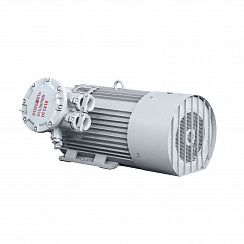 Эл.двигатель 2АИМУР 315 L8 У2,5 660/1140В, кл изоляции Н, PBExdI Mb, РТС (cтатор), подшипники SKF, 160/750  IM 1001