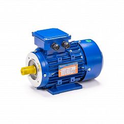 Электродвигатель 5АИ 63 А4 FT100 0,25/1500 IM2181
