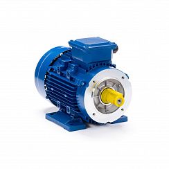 Электродвигатель ESQ 63 B4-SDN- 0,18/1500 IMB34