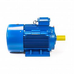Электродвигатель 5АИ 200 L6 30/1000 IM1001