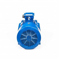 Электродвигатель 5АИ 200 М8 18,5/750 IM1001