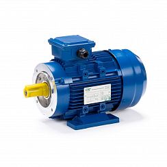 Электродвигатель ESQ 71 C4-SDN 0,55/1500 IMB34