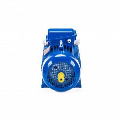 Электродвигатель 5MTH 400 S10 110/600 IM1003