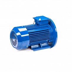 Электродвигатель 5АИ 100 L4 4/1500 IM2081