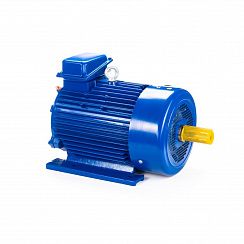 Электродвигатель 5MTКH 200 LB8 22/750 IM1003